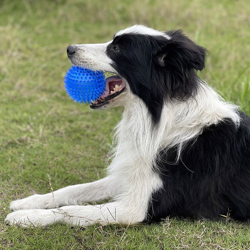 Dog peg ball toy