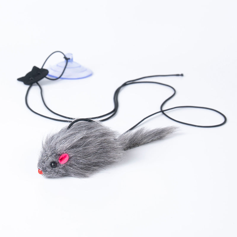 Door-hanging cat toy